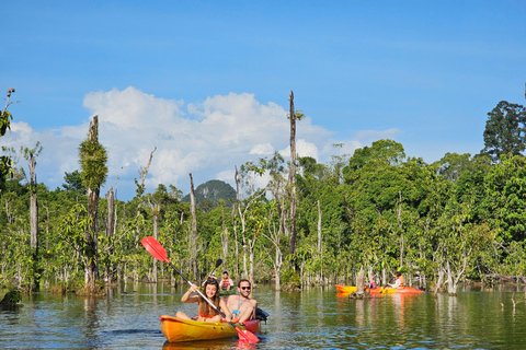 Krabi: Passeio de caiaque em South Kayak Klong RootMeio dia de caiaque em Klong Root e natação