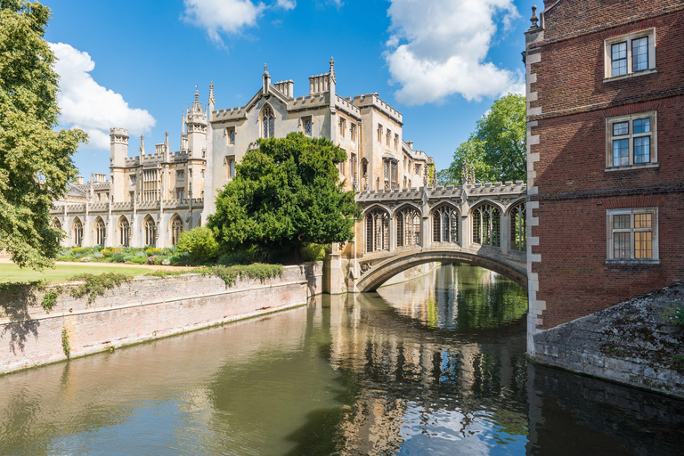 London: Private History Tour to Audley End & Cambridge