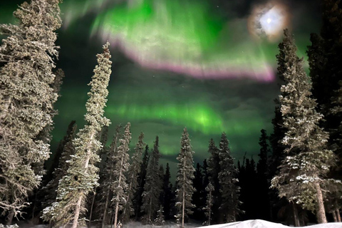 Fairbanks: Tour di un giorno intero dell&#039;avventura invernale di Denali