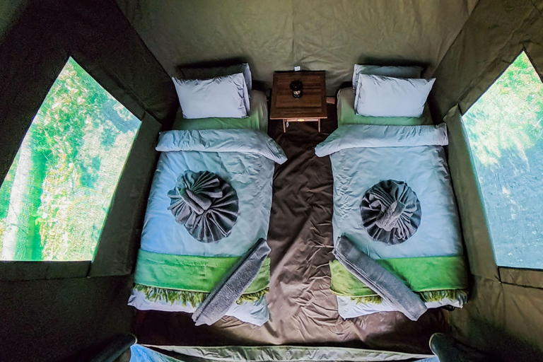 Mokoro Safari Experience in the Okavango Delta