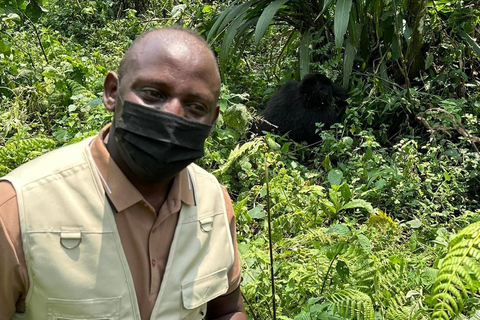 Circuit de 7 jours au Rwanda et en Ouganda, avec trekking et découverte de la faune et de la flore des primates