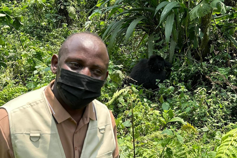 Recorrido de 7 días por Ruanda y Uganda: Senderismo y Vida Salvaje con Primates