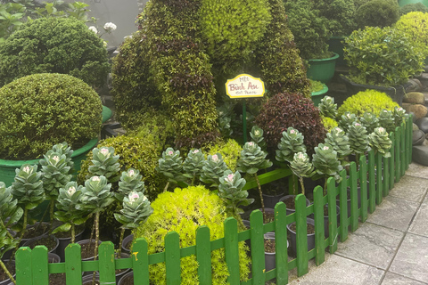 Da Nang: Ba Na Hills - A full-day trip