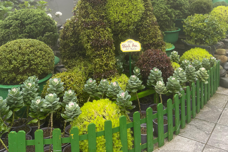 Da Nang: Ba Na Hills - A full-day trip