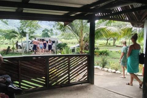 Ogród Śpiącego Olbrzyma z wycieczką do gorących źródeł Tifajek MudpoolHotele w Nadi / Port Denarau / Double Tree / Odbiór z Vuda