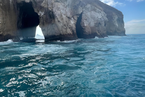 HÖJDPUNKT TUR SAN CRISTOBAL - TUR KICKER ROCK LEON DORMIDO