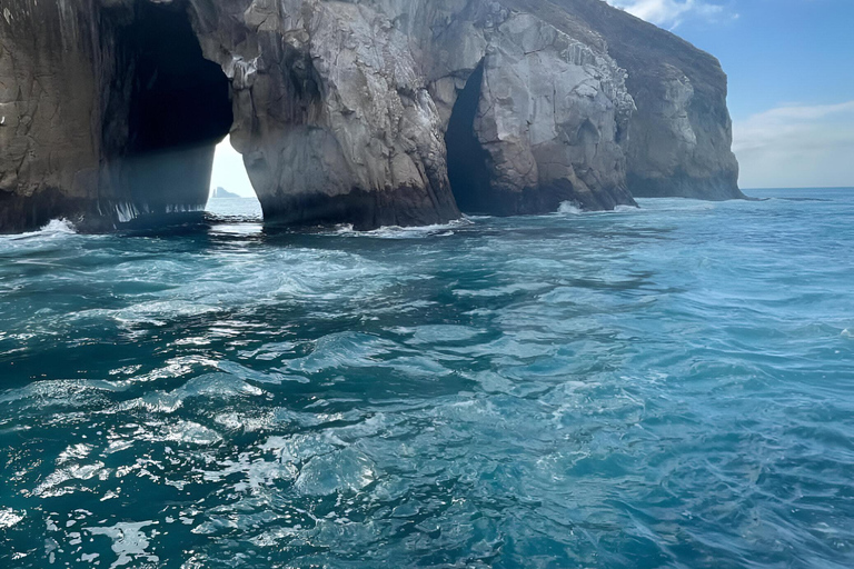 HÖJDPUNKT TUR SAN CRISTOBAL - TUR KICKER ROCK LEON DORMIDO