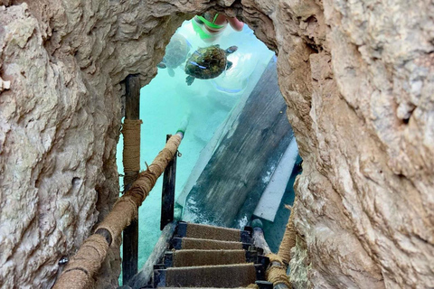 Zanzibar : la forêt de Jozani et la sérénité de la grotte SalamForêt de Jozani : Forêt de Jozani et sérénité à la grotte de Salam