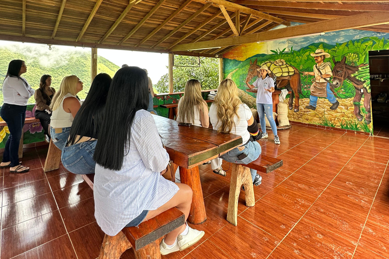 Coffee and Exotic Fruit Tour from Medellín with Lunch Coffee and Exotic Fruit Tour from Medellín with Lunch.