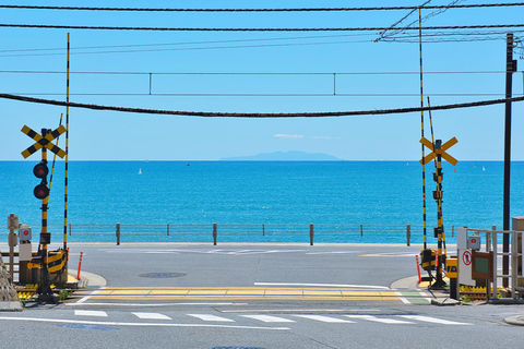 1-dniowa wycieczka do Kamakura Budda, Enoshima, sanktuarium z TokioOdbiór ze stacji Shinjuku o 8:30 rano