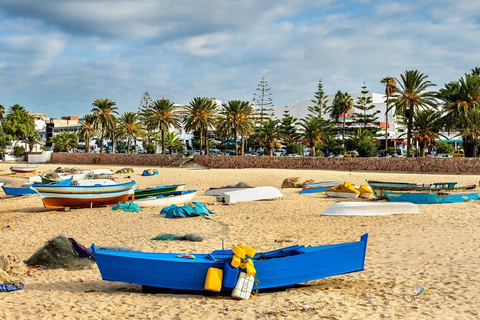 Kairouan & El Jem Day Trip from Tunis or Hammamet Kairouan El Jem with Optional Hammamet