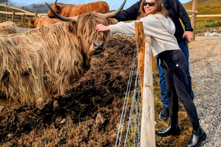 Edinburgh: Private Highland Tour - Glencoe, Coos & Castles