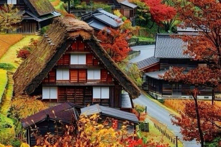 From Kanazawa: Shirakawa-go and Takayama Private Day Trip