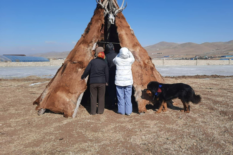 Ulaanbaatar: Mongolian Culture Tour with full day activities