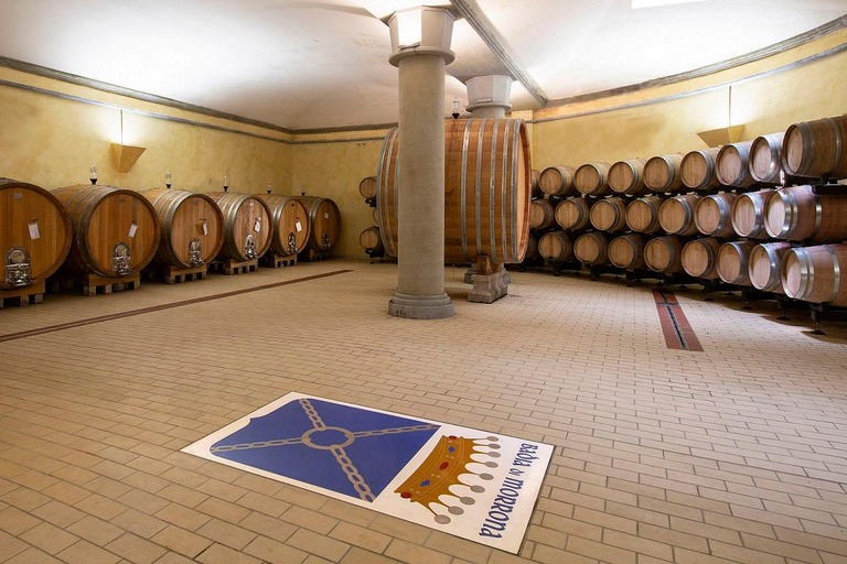 Winery tour and Tuscan wine tasting with culinary specialties