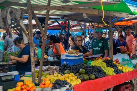 Manaus: Guided Walking Tour with Museum Entry