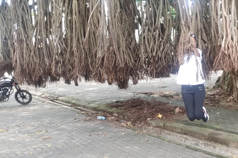 Negombo/Colombo - Wycieczka do Galle