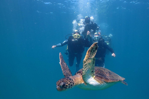 Fethiye: Full-Day Scuba Diving Adventure with Lunch