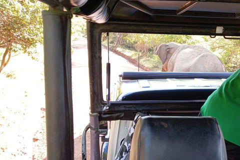 Depuis Kandy : Forteresse du rocher du lion de Sigiriya et excursion dans un village