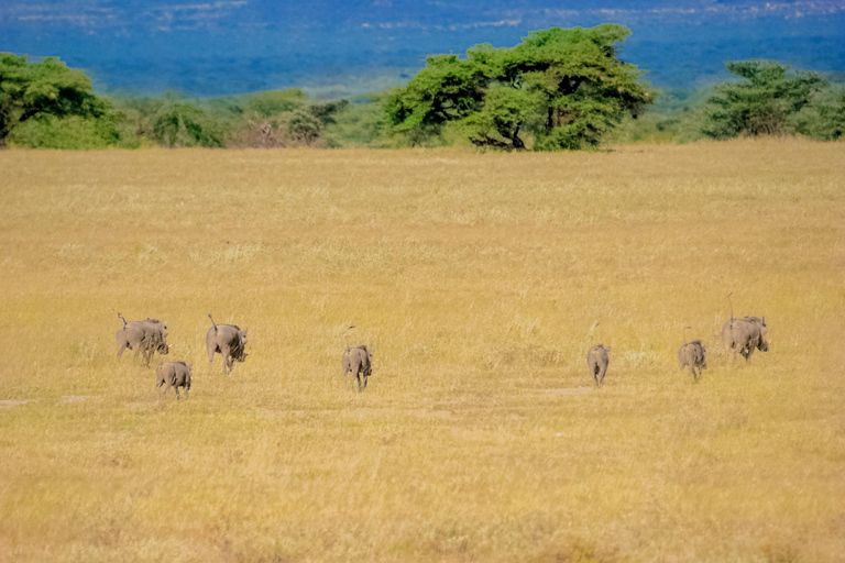 Samburu National Reserve 3-Day Safari from Nairobi