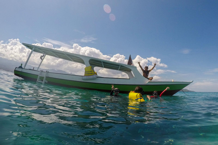 Gili Islands Lombok: 4 Hour Private Group Snorkeling Trip