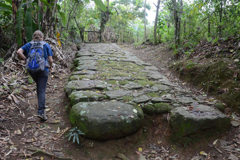 Aventure en Jeep à Paraty : sentier écologique, distillerie et baignade dans la rivièreAventure en Jeep à Paraty : parcours écologique, distillerie et baignade dans la rivièr
