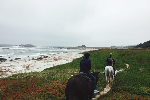 Saint John: Coastal Countryside Horseback Adventure