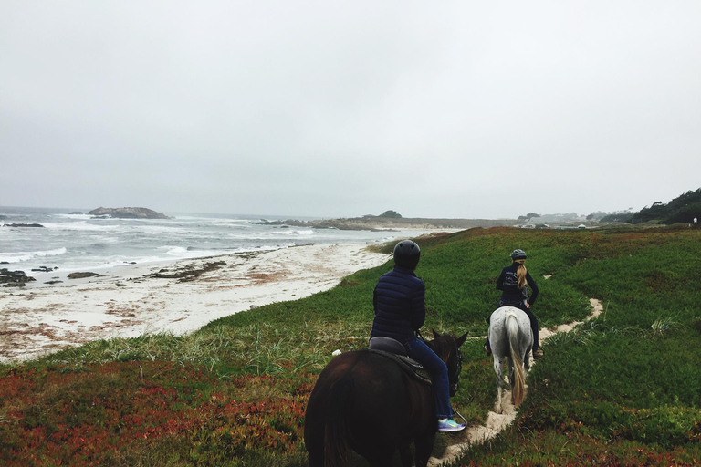 Saint John: Coastal Countryside Horseback Adventure