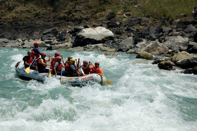 Da Delhi: Trekking di 4 giorni nella Valle dei Fiori con trasferimentiSolo auto con autista
