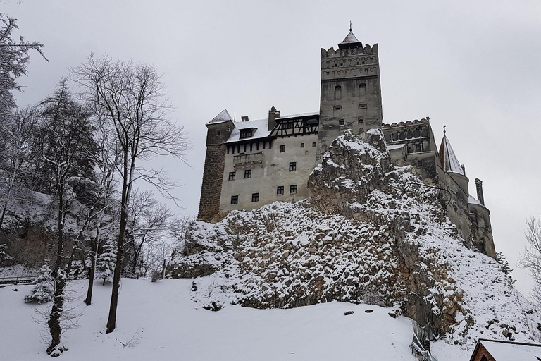 Bran Castle Small-Group Day Tour from Brașov | Local Guide