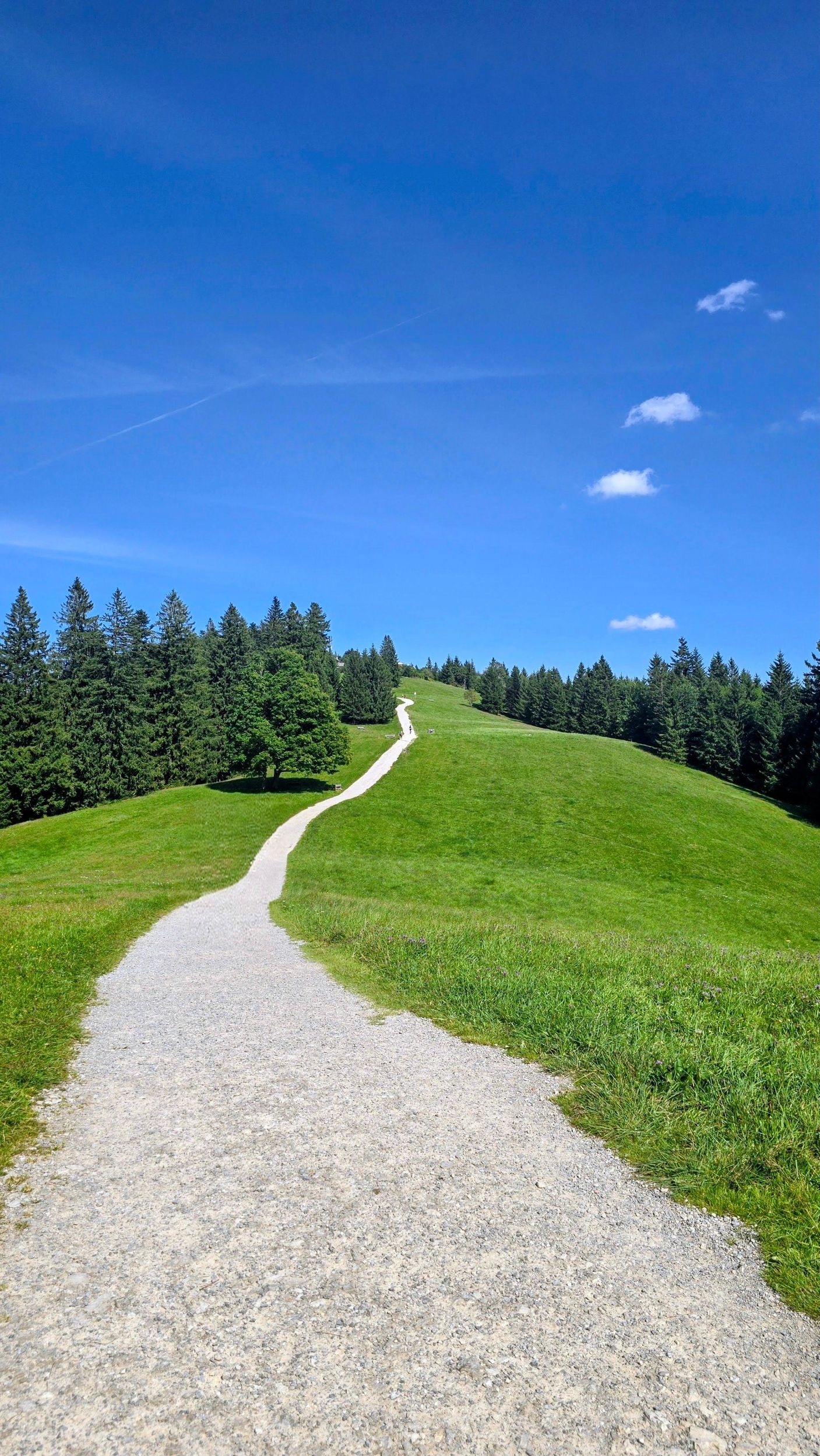 Geführte herbstliche Wanderung nahe München: Vom Tegernsee zum Schliersee