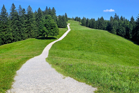Tegernsee to Schliersee: Guided panoramic hike on the Prinzenweg