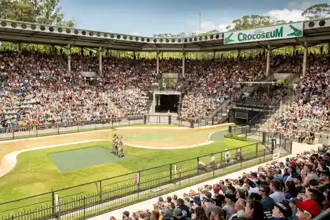 Brisbane: Croc Express to Australia Zoo (Transfers Only)