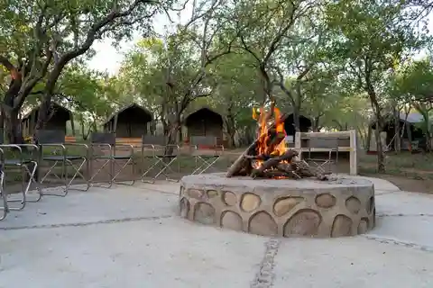 5 Dagars Kruger Glamping Budget Äventyr