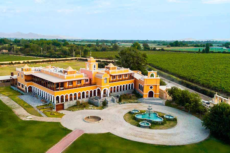 Ica: Ica Wine and Pisco Tour with Tastings