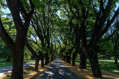 Mendoza : visite de la ville avec dîner ou dégustation de vins dans un restaurant local