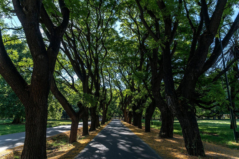 Mendoza : visite de la ville avec dîner ou dégustation de vins dans un restaurant local