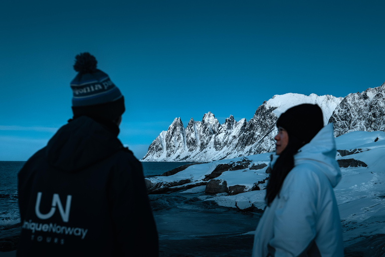 Tromsø: Senja Fjord & Landscape Tour in Chinese Small-Group