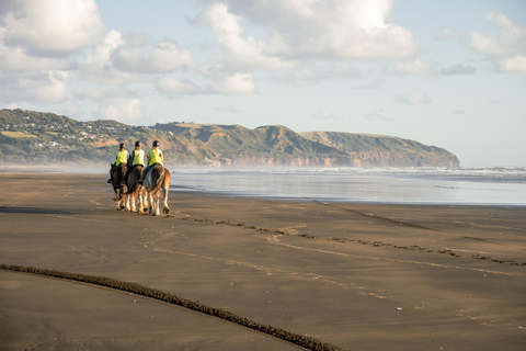 Muriwai Beach 2-Hour Horse Trek Experience