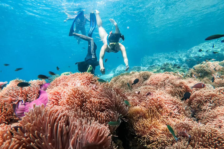 Z Koh Chang: 4 wyspy Snorkel &amp; Beach Tour dużą łodziąRejs wycieczkowy na 4 wyspy: Z transferem do hotelu