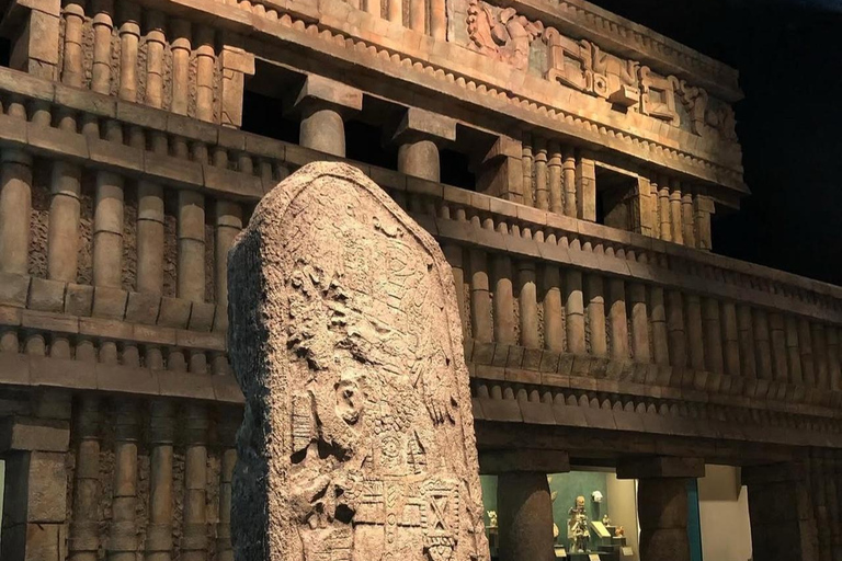 Mexico: Unique Anthropology Museum Tour with Mayan Expert.