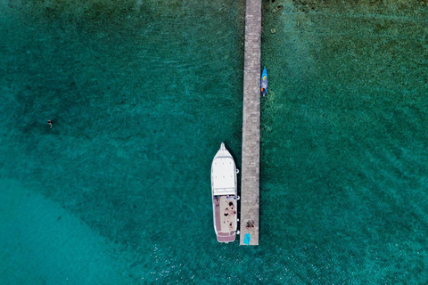 From Split: Blue Cave & 5 Islands Amazing Speedboat Tour