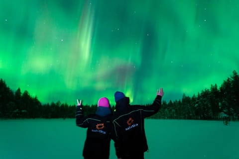 Ylläs: Garantierte Polarlichttour in kleiner Gruppe mit Fotos