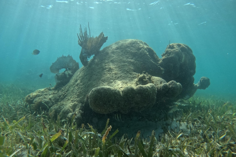 Snorkelparadijs Cancún en onderwatermuseum in Nizuc