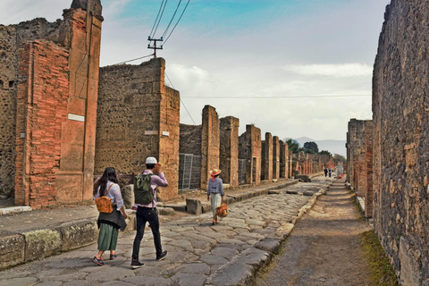 Vanuit Napels: Pompeii en Sorrento Bus Tour met Gids