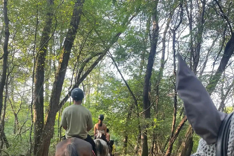 Varese: Horseback Riding through Woodlands and Meadows with Lunch in Fagnano Olona Lunch