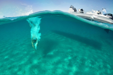Mykonos : croisière à terre à Delos et Rhenia avec fruits et collationsMykonos : croisière vers Délos et Rhenia avec fruits et collations