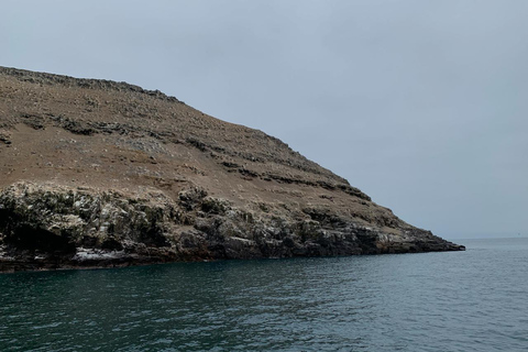 Lima : Découverte de la plongée sous-marine - Première expérience