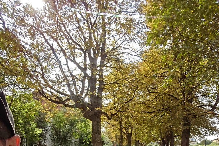 Bonn: 3,5 uur begeleide fietstourBonn: 3,5 uur begeleide fietstocht