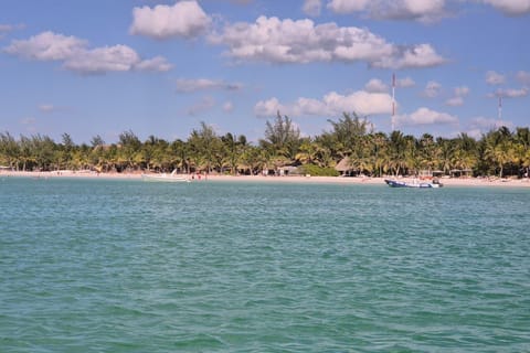 Private Day Trip to Isla Holbox in French
